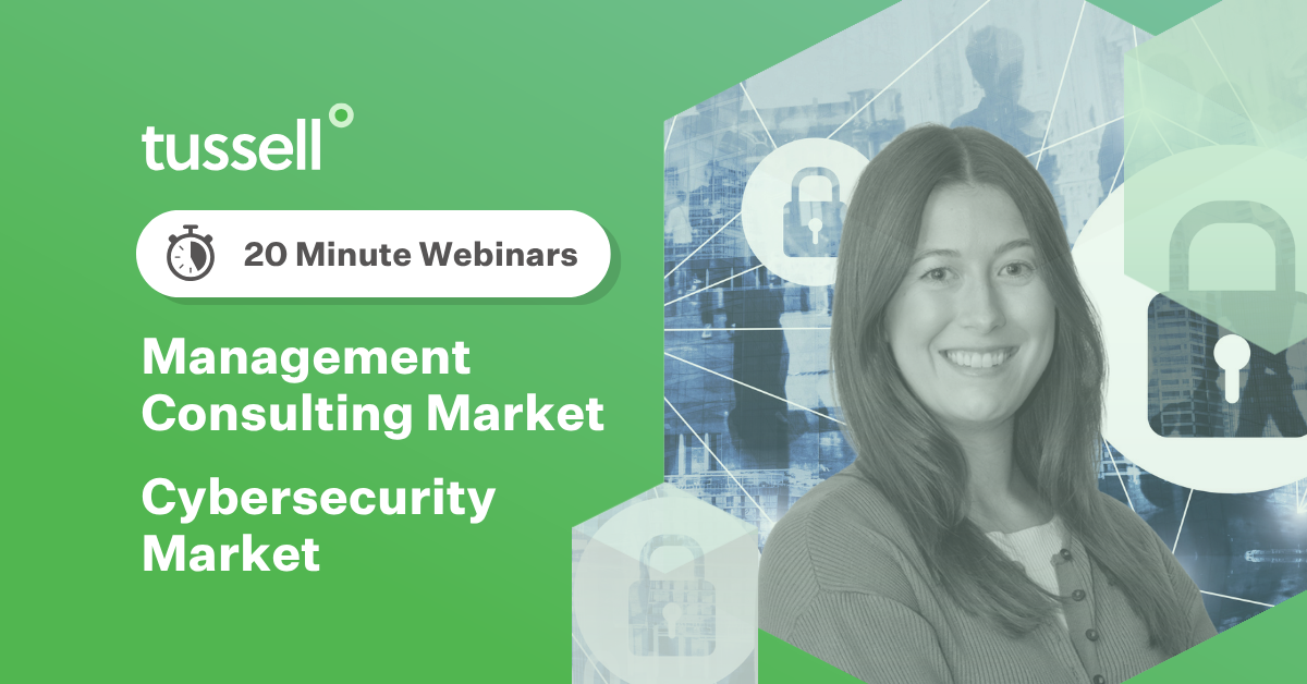 20-Minute Webinars: the Cyber Security and Management Consulting Markets