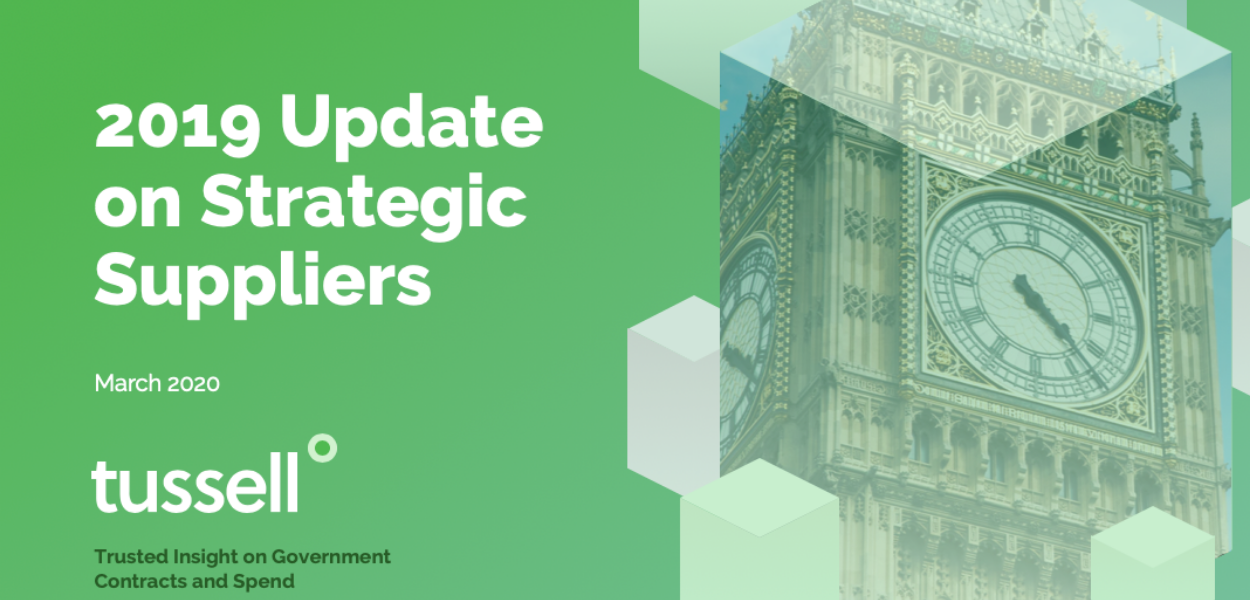 Analysing the Strategic Suppliers to Government [PDF download]