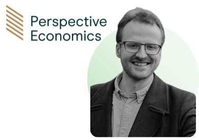 Perspective Economics
