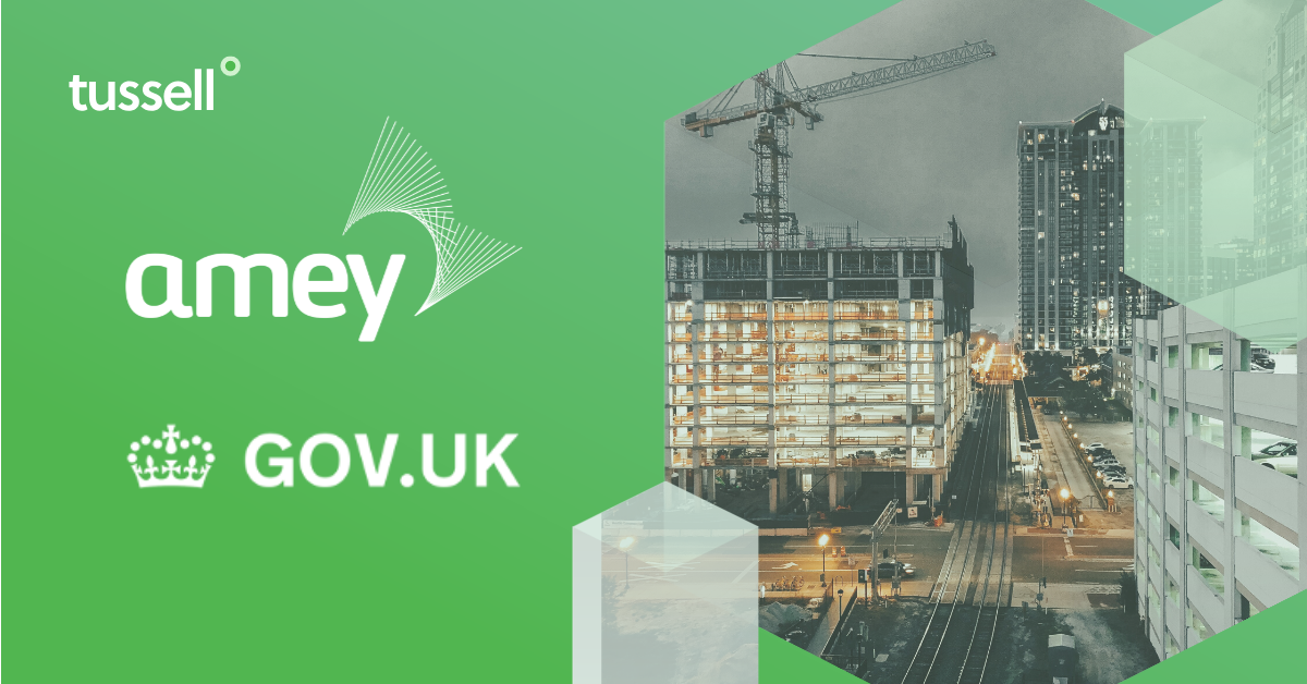 Amey - Public Sector Profile 2019