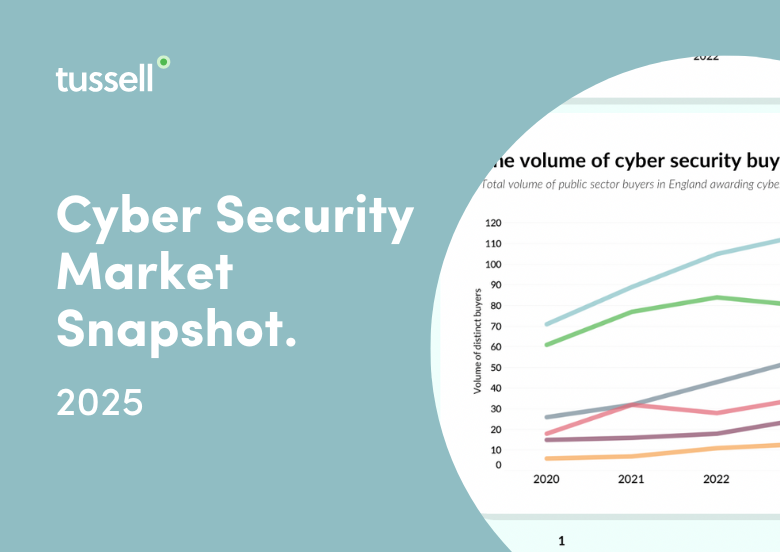 Cyber Market Snapshot 2025