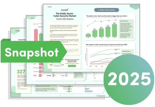 Cyber Security Snapshot Market LP Graphic v1