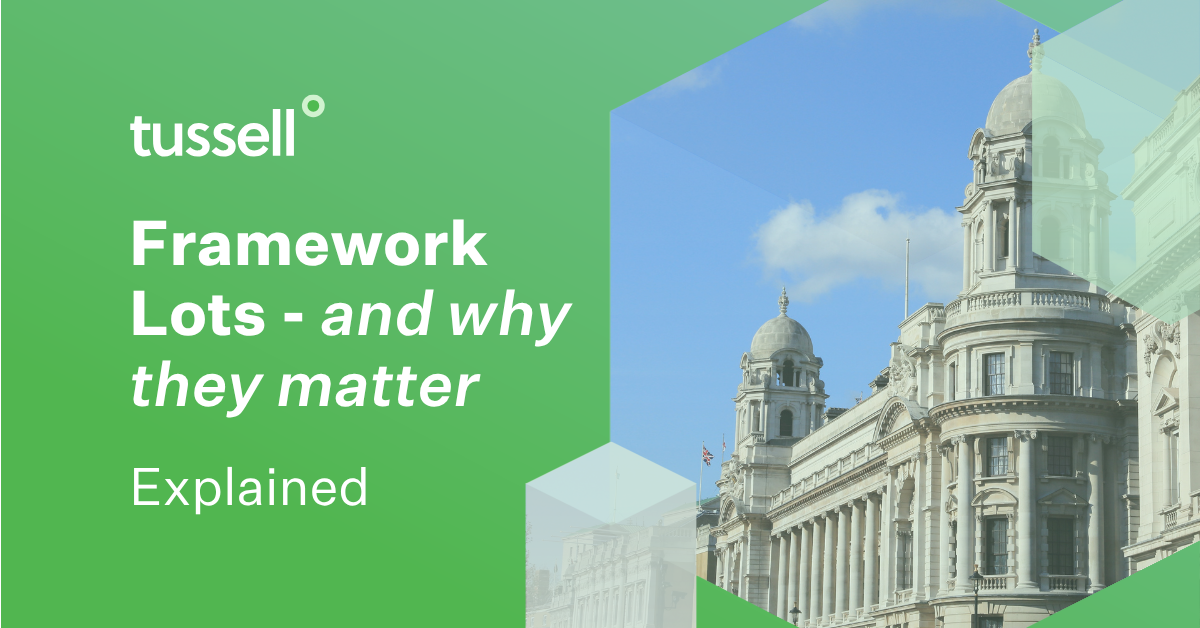 What are Procurement Framework Lots?