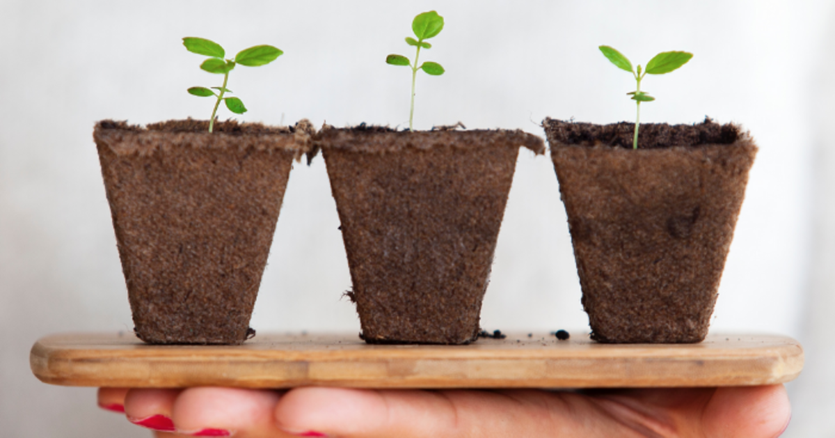 How good are local authorities at awarding contracts to SMEs and VCSEs