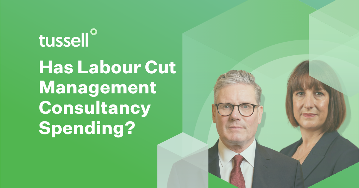 Public Sector Management Consultancy Spending Snapshot (2025)