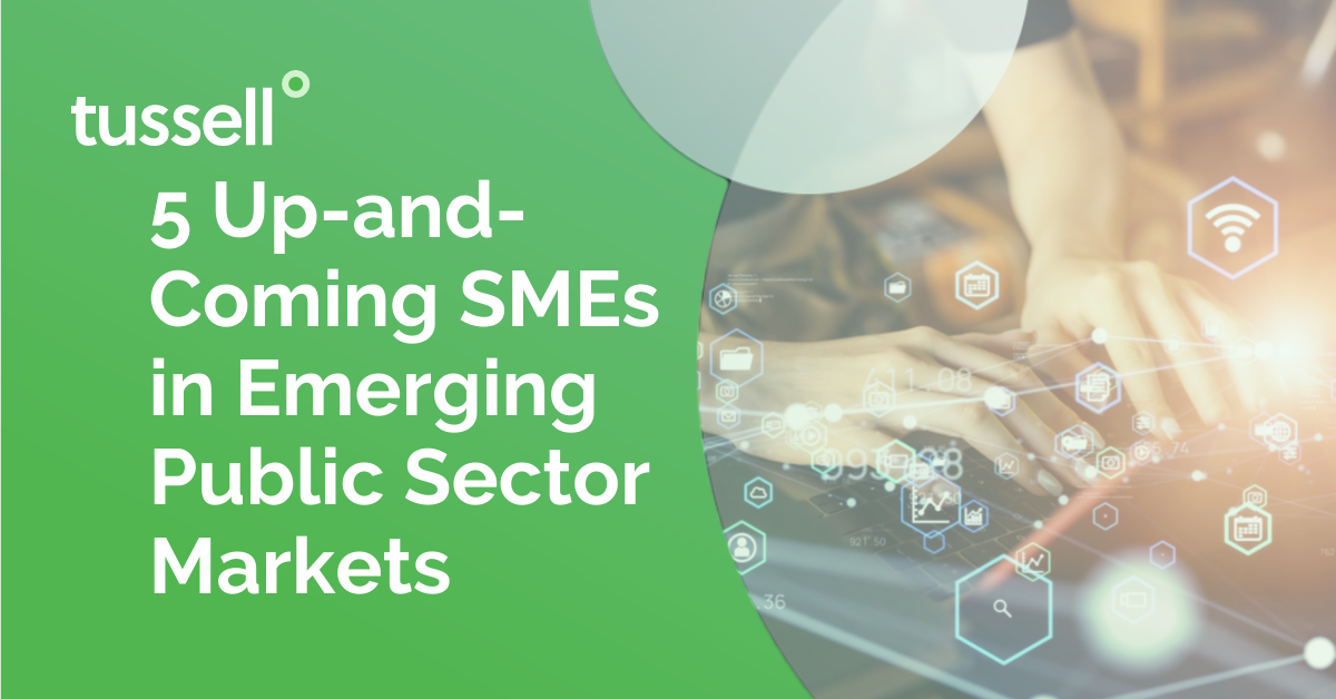 5 Up-and-Coming SMEs in Emerging Public Sector Markets