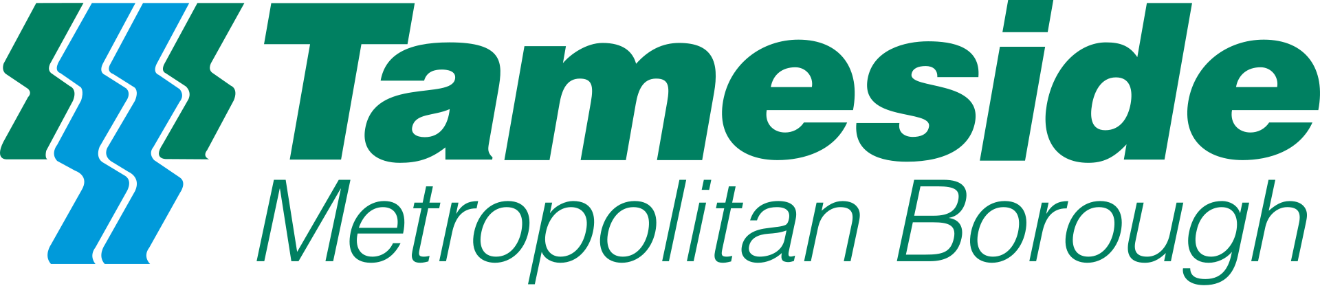 Tameside Metropolitan Borough Council
