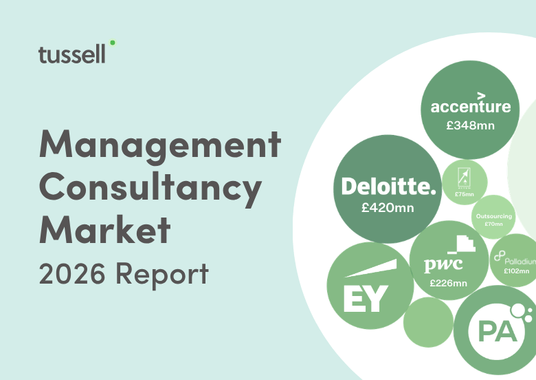 Management Consultancy Market Snapshot 2026 - Light Blue