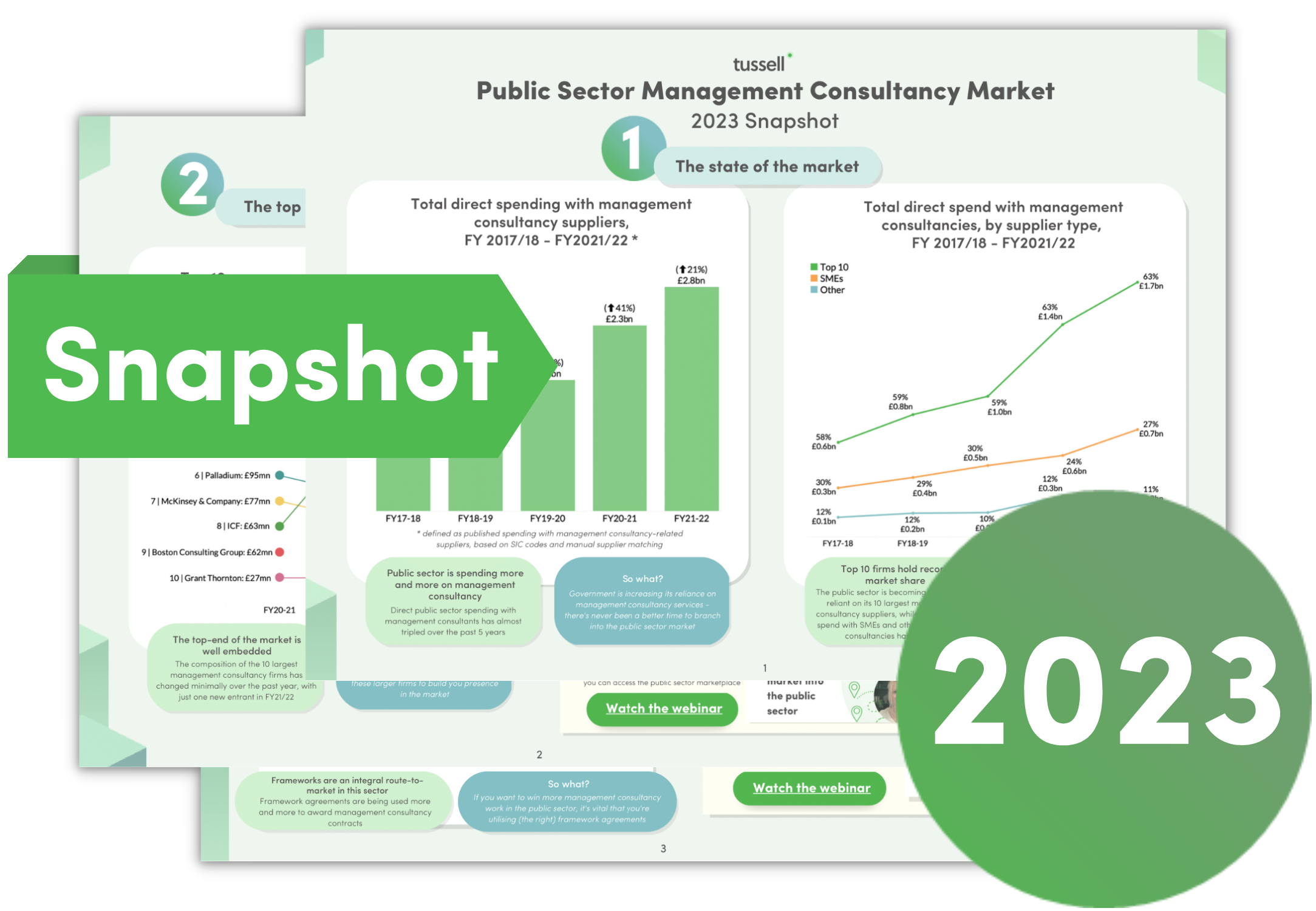 Management Consultancy Snapshot Graphic