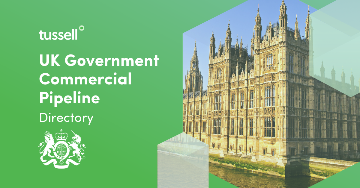 UK Government Procurement Pipeline Directory (2025)
