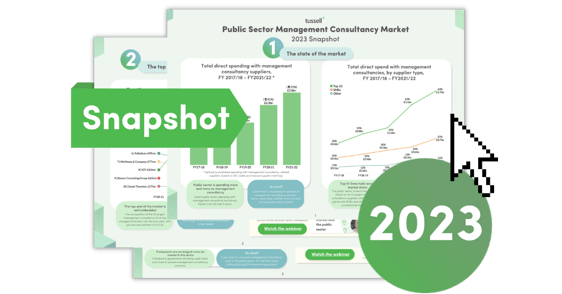 Public Sector Management Consultancy Link