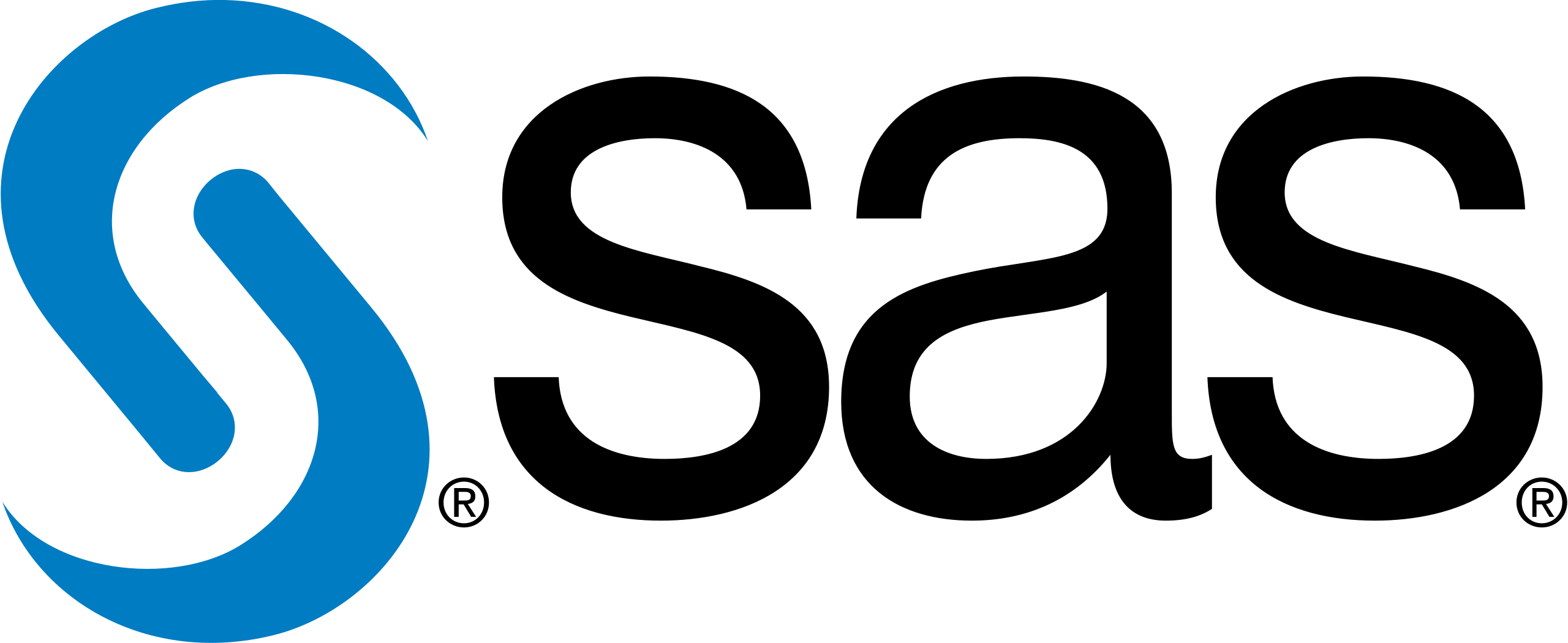 SAS Logo Large