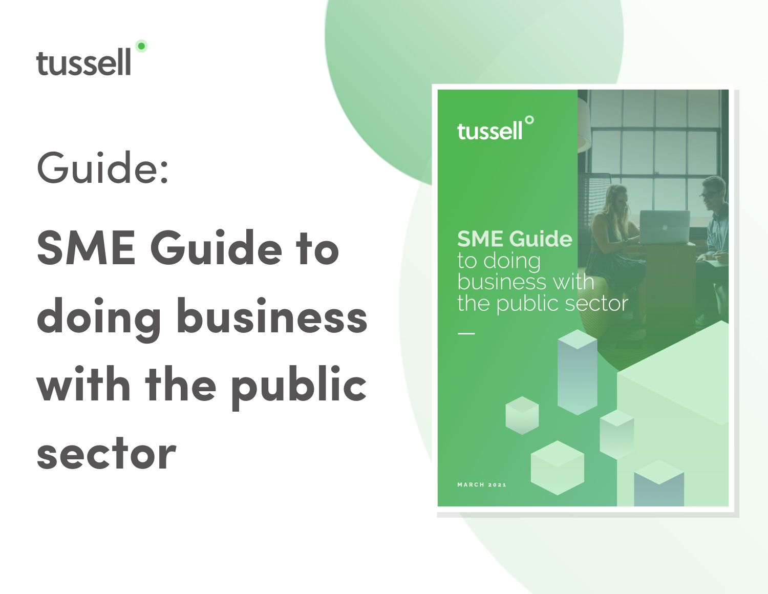 SME Guide PDF Resource Thumbnail (1)