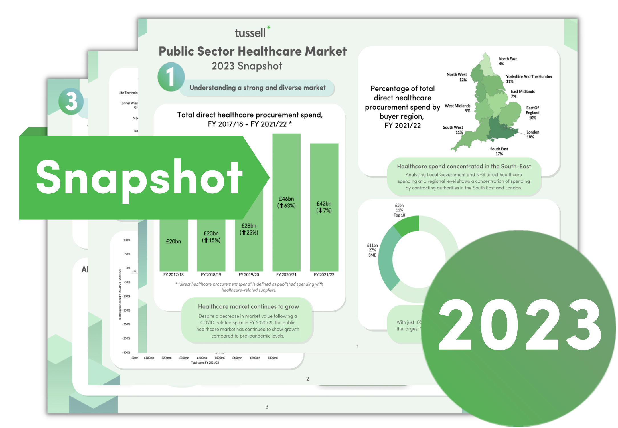 Snapshot Report Graphics (3)