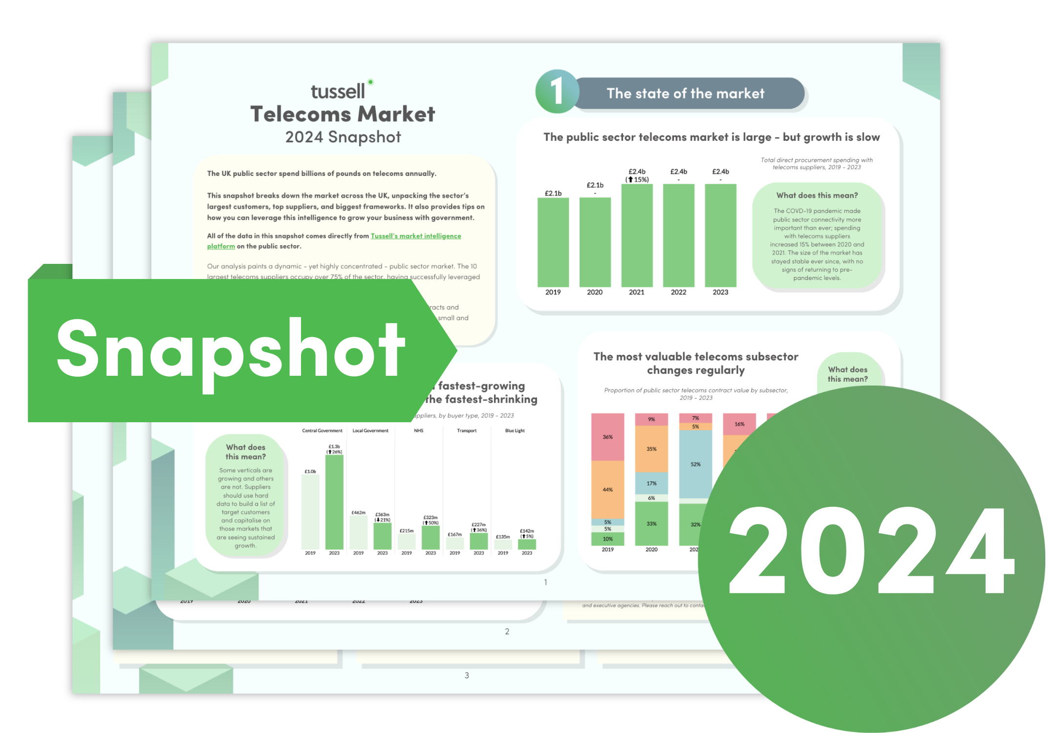 Telecoms Snapshot Graphic 2024