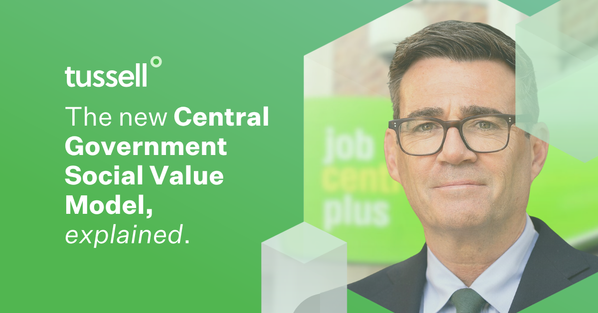 The Central Gov't Social Value Model, explained